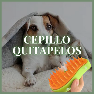 2 x CEPILLO MASCOTAS CON VAPOR - MAMATERE